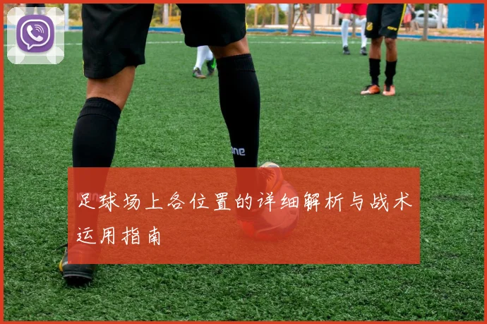 足球场上各位置的详细解析与战术运用指南